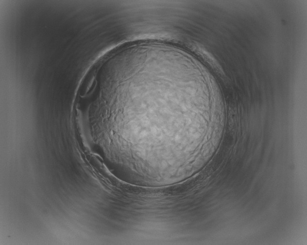 X0000074010628200609061050