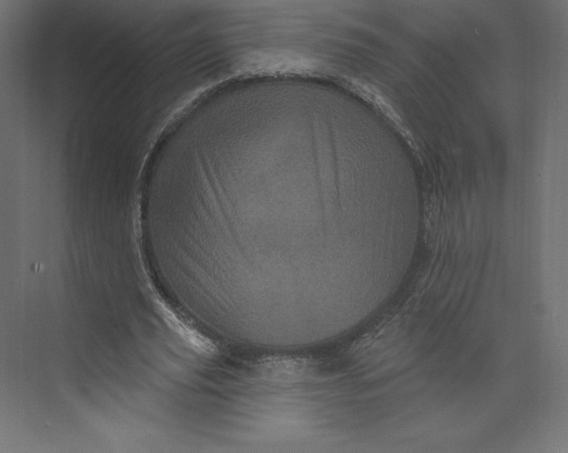 X0000074010629200609061050