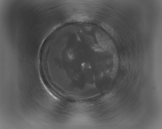 X0000074010630200609061050