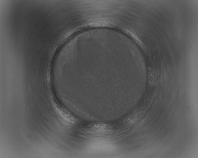 X0000074010631200609061050