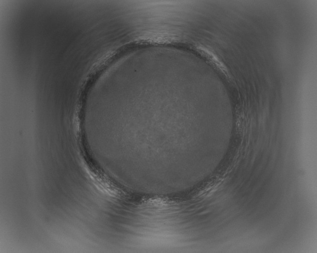 X0000074010635200609061050