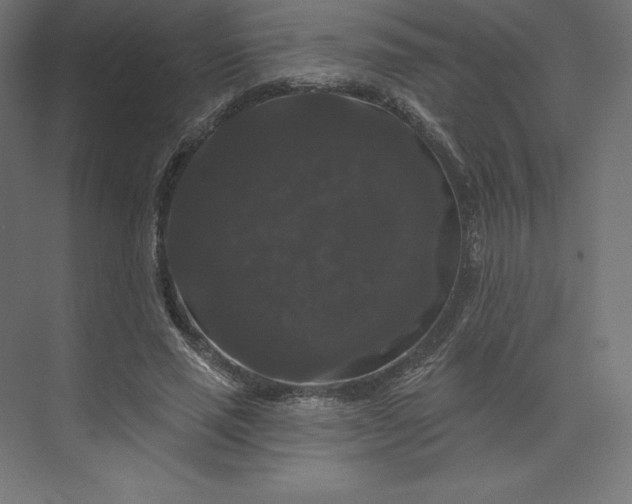 X0000074010637200609061050