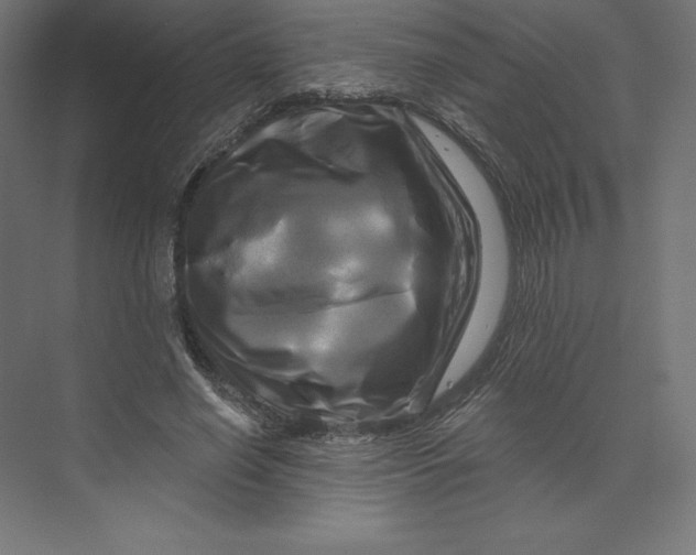 X0000074010638200609061050