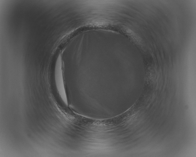 X0000074010640200609061050