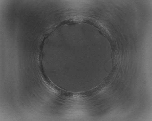 X0000074010641200609061050