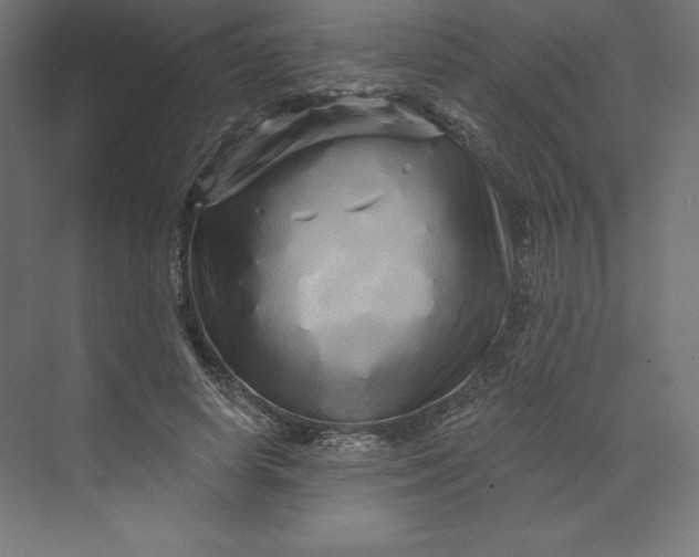 X0000074010642200609061050