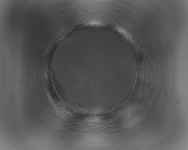 X0000074010643200609061050