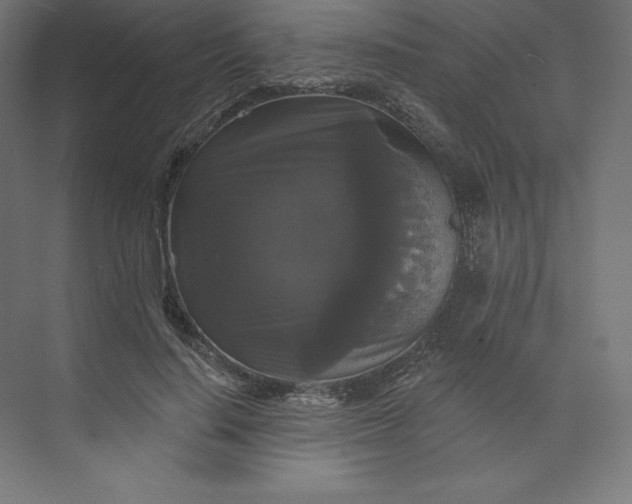 X0000074010644200609061050