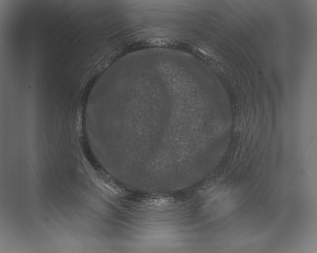 X0000074010646200609061051