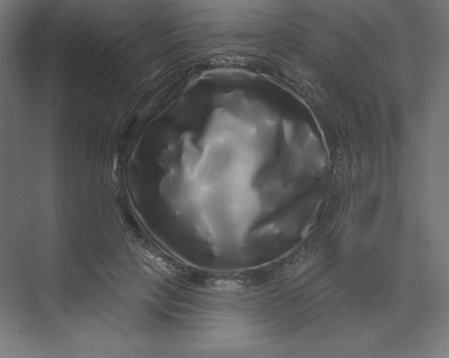 X0000074010649200609061051