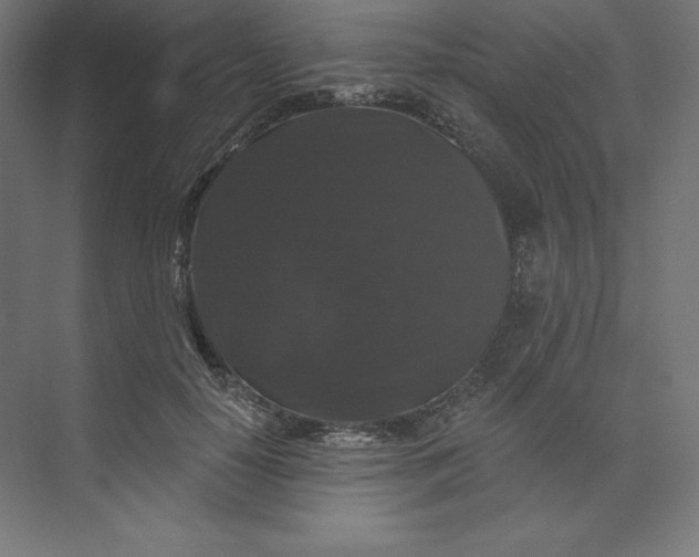 X0000074010650200609061051