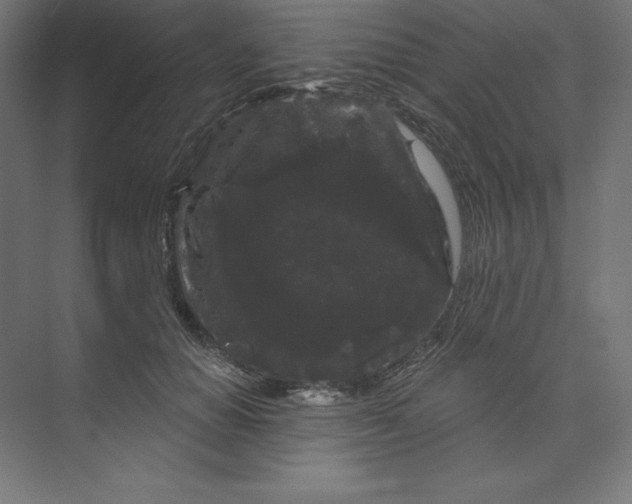 X0000074010654200609061051