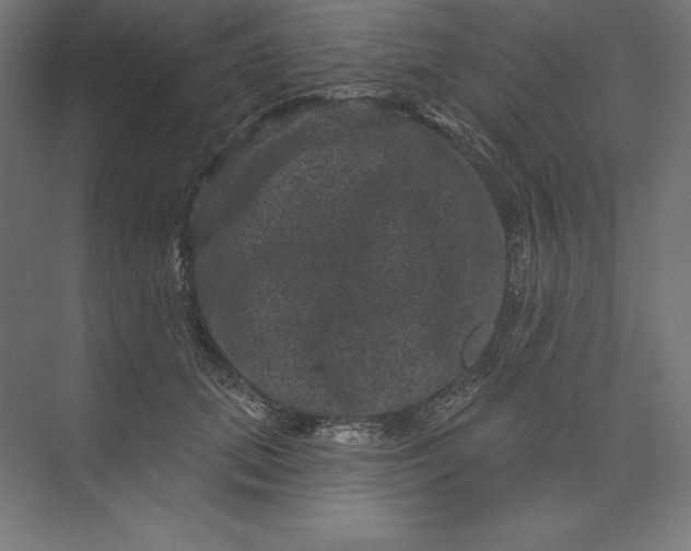 X0000074010655200609061051