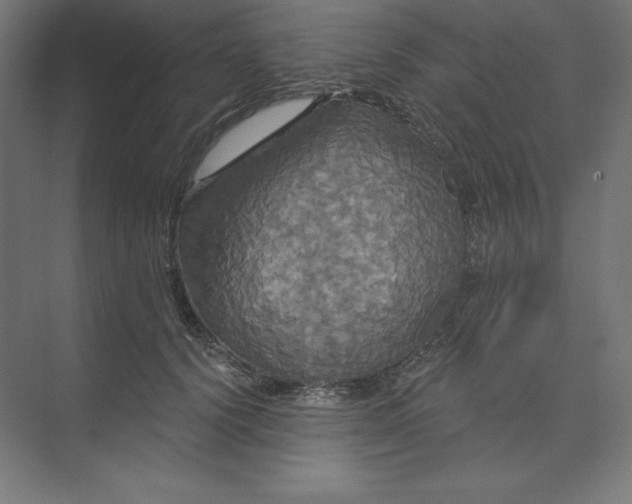 X0000074010656200609061051