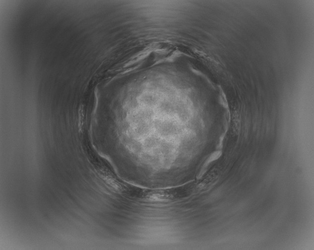 X0000074010657200609061051