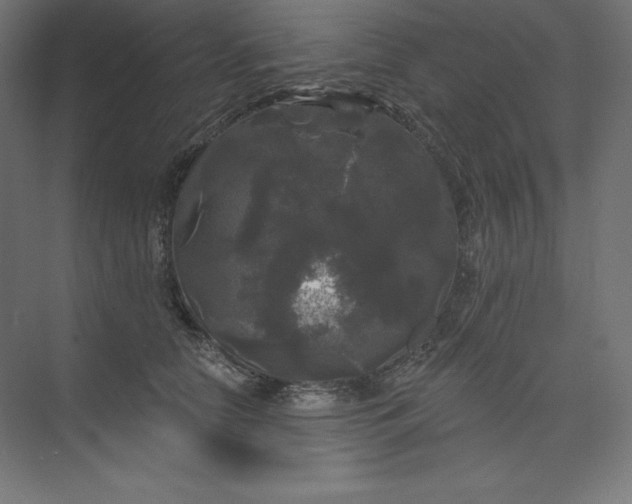 X0000074010658200609061051