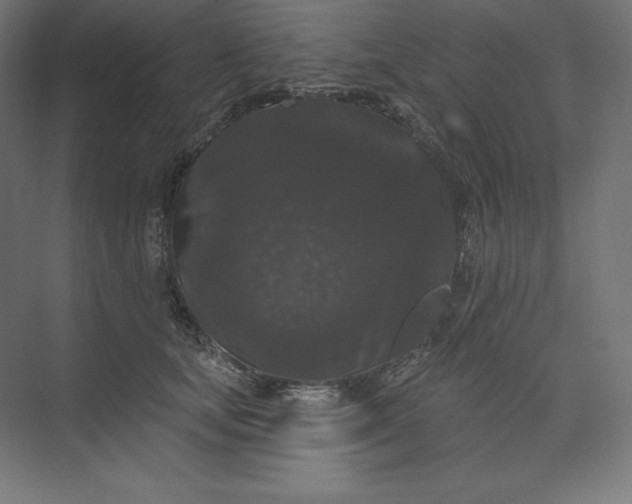 X0000074010659200609061051