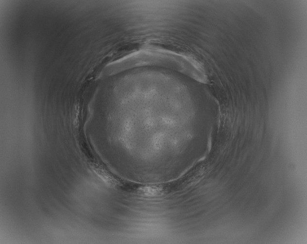 X0000074010660200609061051