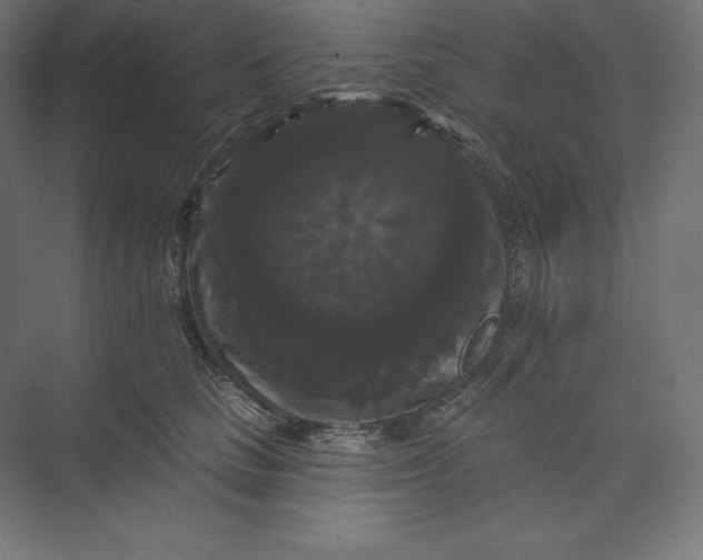 X0000074010661200609061051