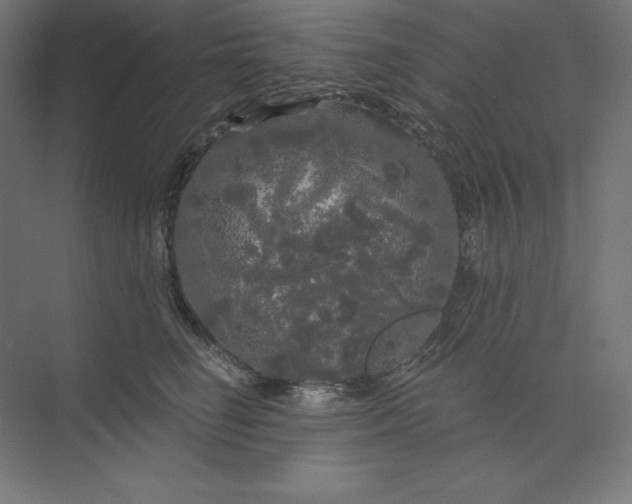 X0000074010662200609061051