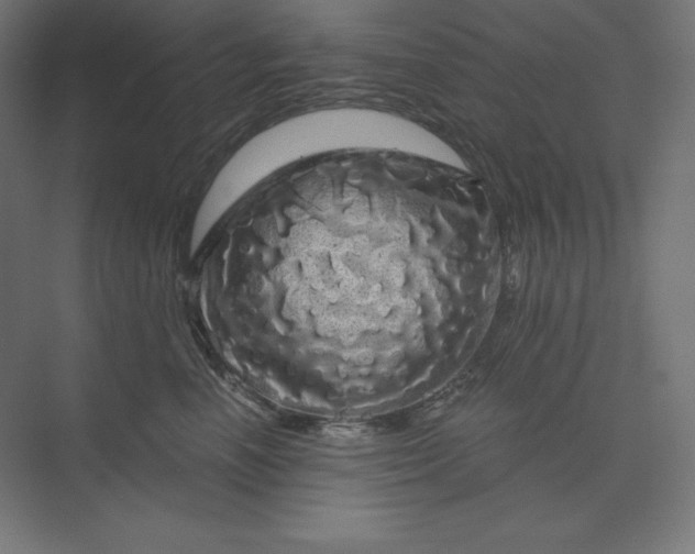 X0000074010666200609061051