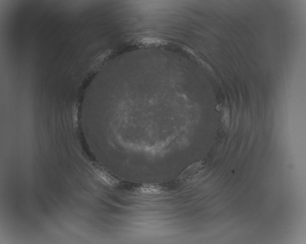 X0000074010668200609061051