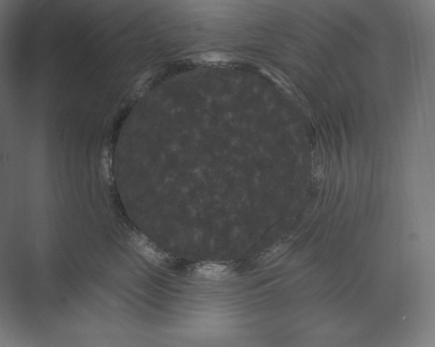 X0000074010669200609061051