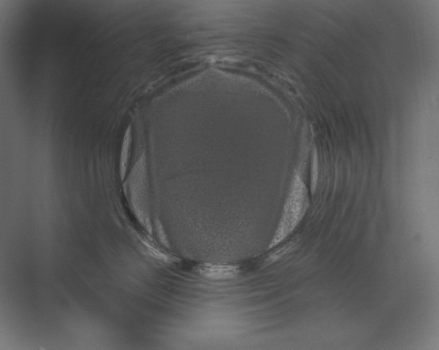 X0000074010670200609061051