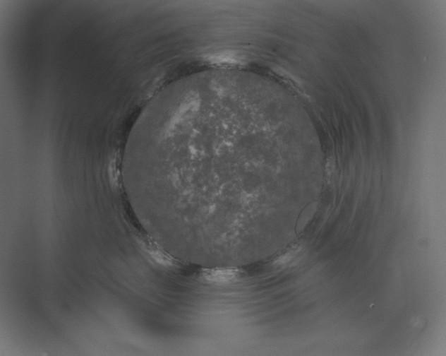 X0000074010671200609061051