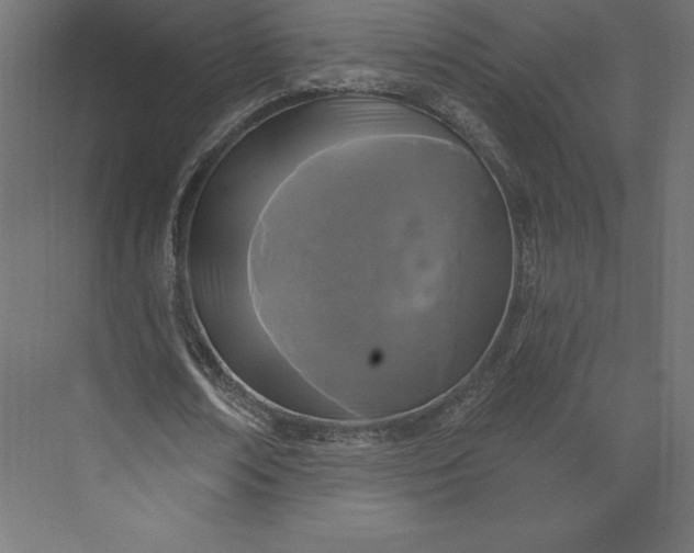 X0000074010674200609061050