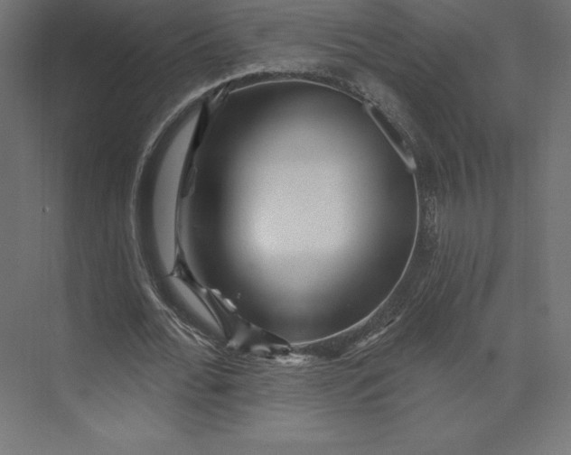 X0000074010676200609061050