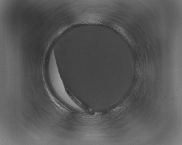 X0000074010677200609061050