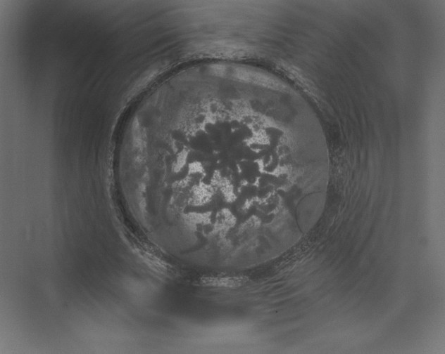 X0000074010679200609061050