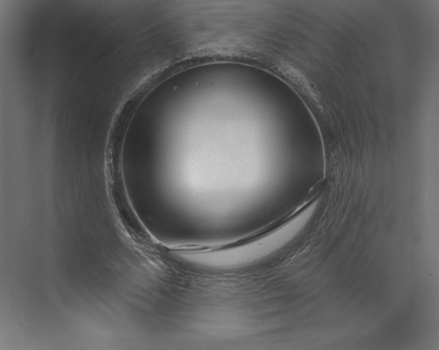 X0000074010680200609061050