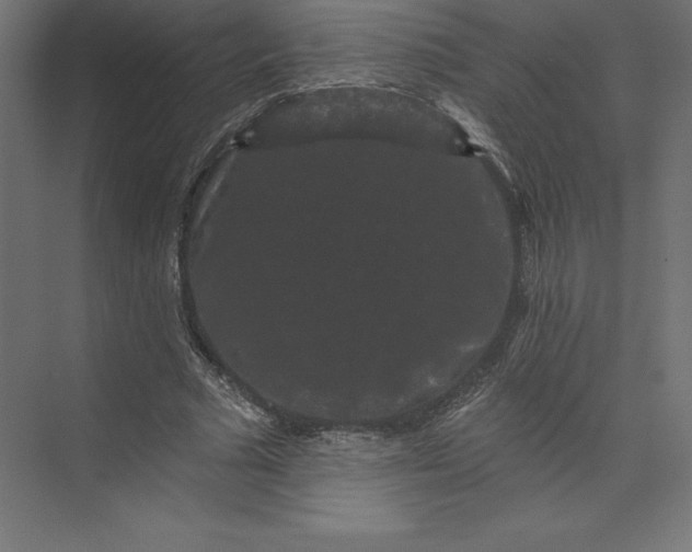 X0000074010681200609061050