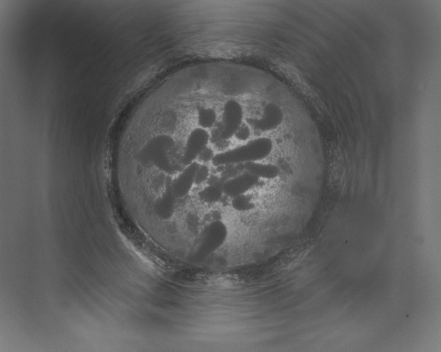 X0000074010683200609061050