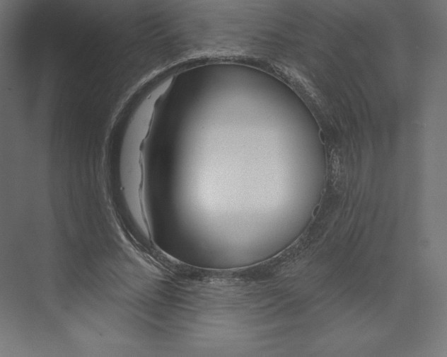 X0000074010684200609061050