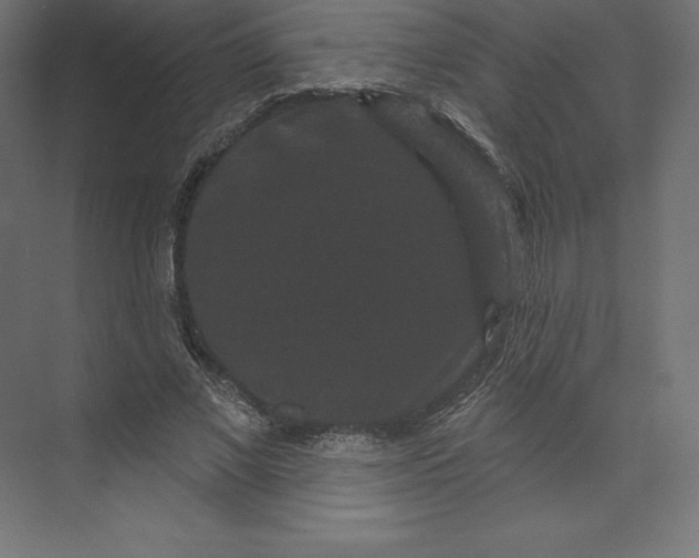 X0000074010685200609061050