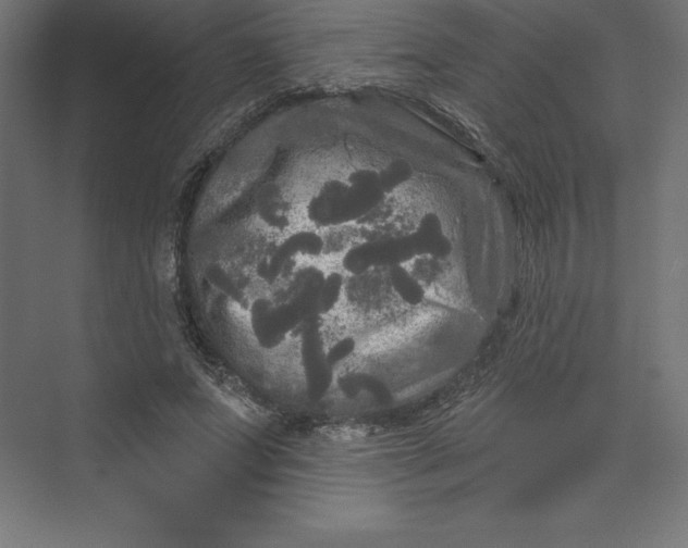 X0000074010687200609061050