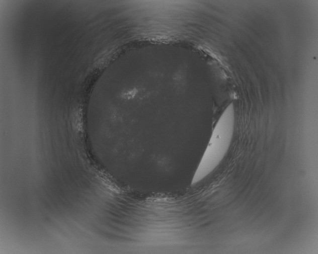 X0000074010689200609061050