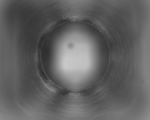 X0000074010690200609061050