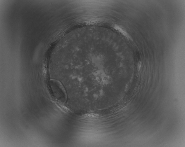 X0000074010691200609061050