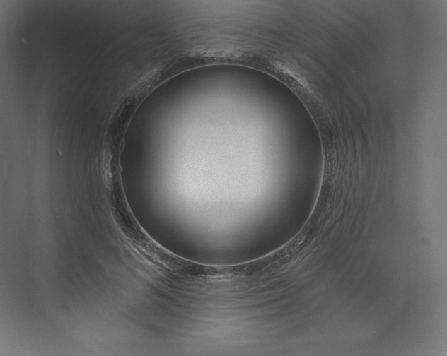 X0000074010692200609061050