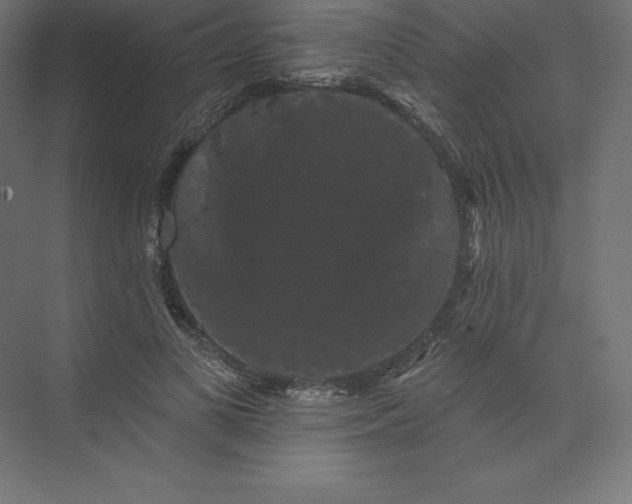 X0000074010693200609061050