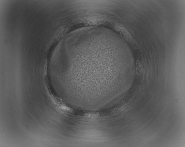 X0000074010694200609061050