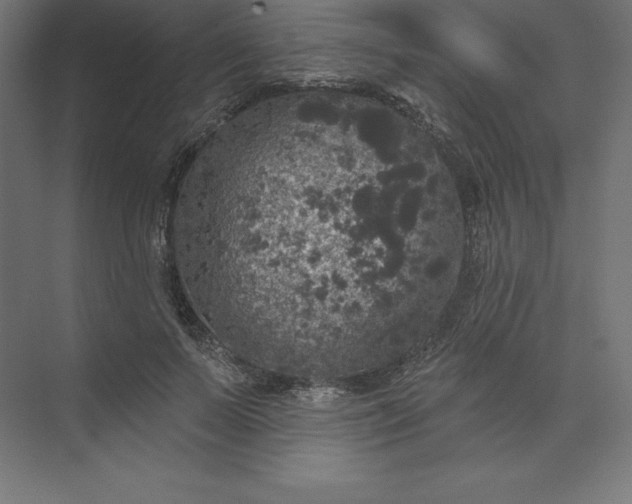 X0000074010695200609061050