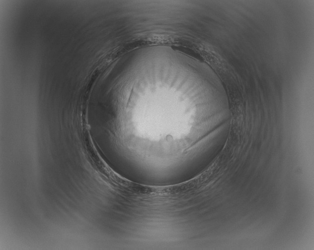 X0000074010696200609061050