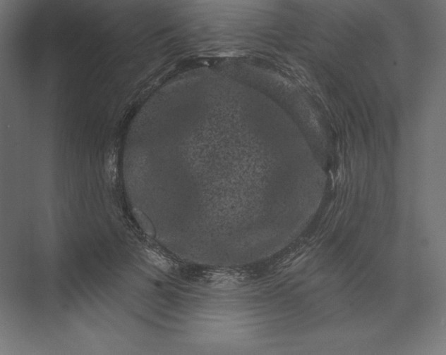 X0000074010697200609061050