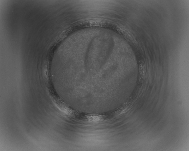 X0000074010698200609061050