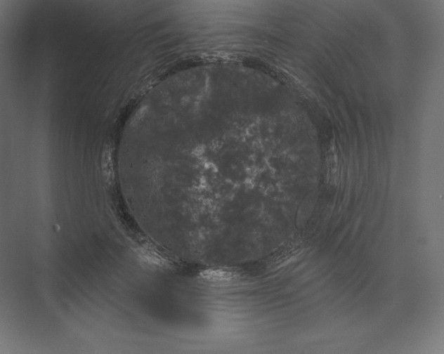 X0000074010699200609061050